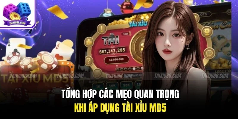 Tổng hợp các mẹo quan trọng khi áp dụng tài xỉu md5